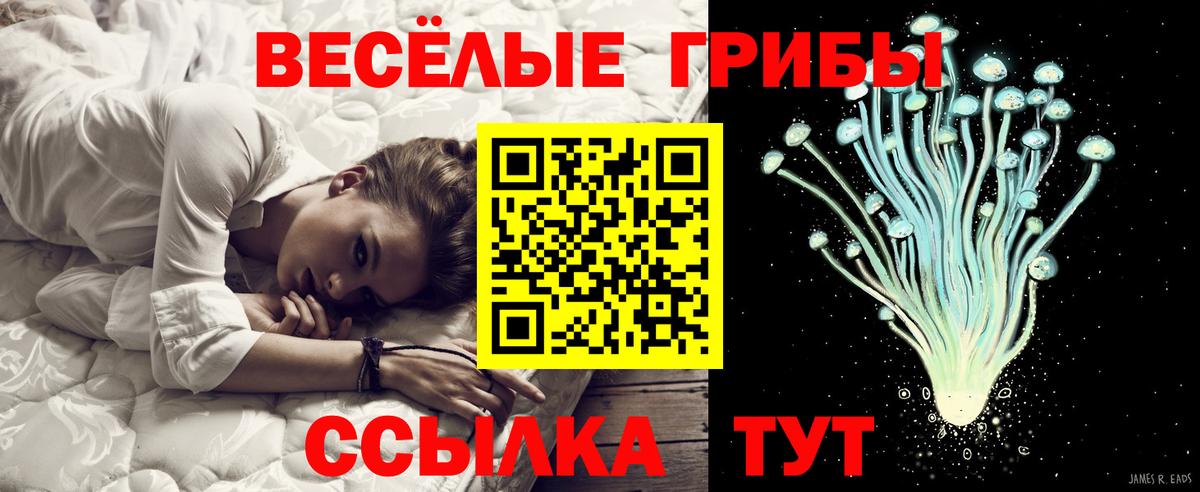 Галлюциногенные грибы MAGIC MUSHROOMS  Псилоцибиновые грибы ЛСД  Вход с VPN  Нефтекамск 