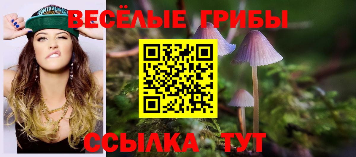 Псилоцибиновые грибы мицелий Нефтекамск
